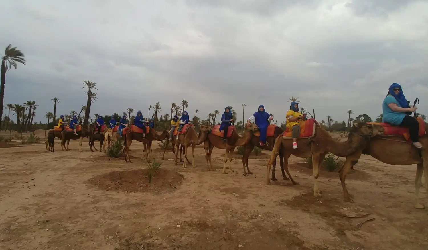 Camel trekking Palmeraie