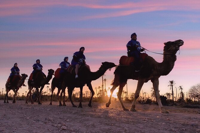 Camel Ride Palmeraie