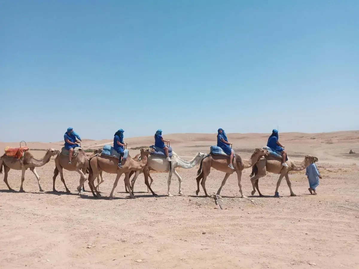 Camel ride Marrakech desert