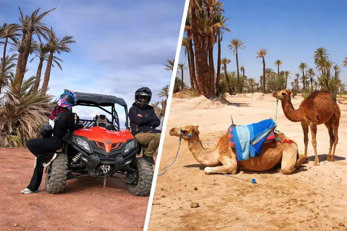 Camel and Buggy Tour Marrakech
