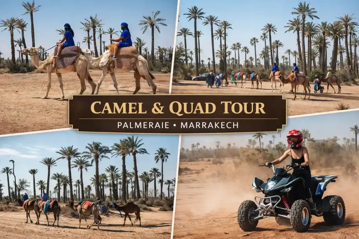 Camel Ride and Quad Tour Palmeraie Marrakech