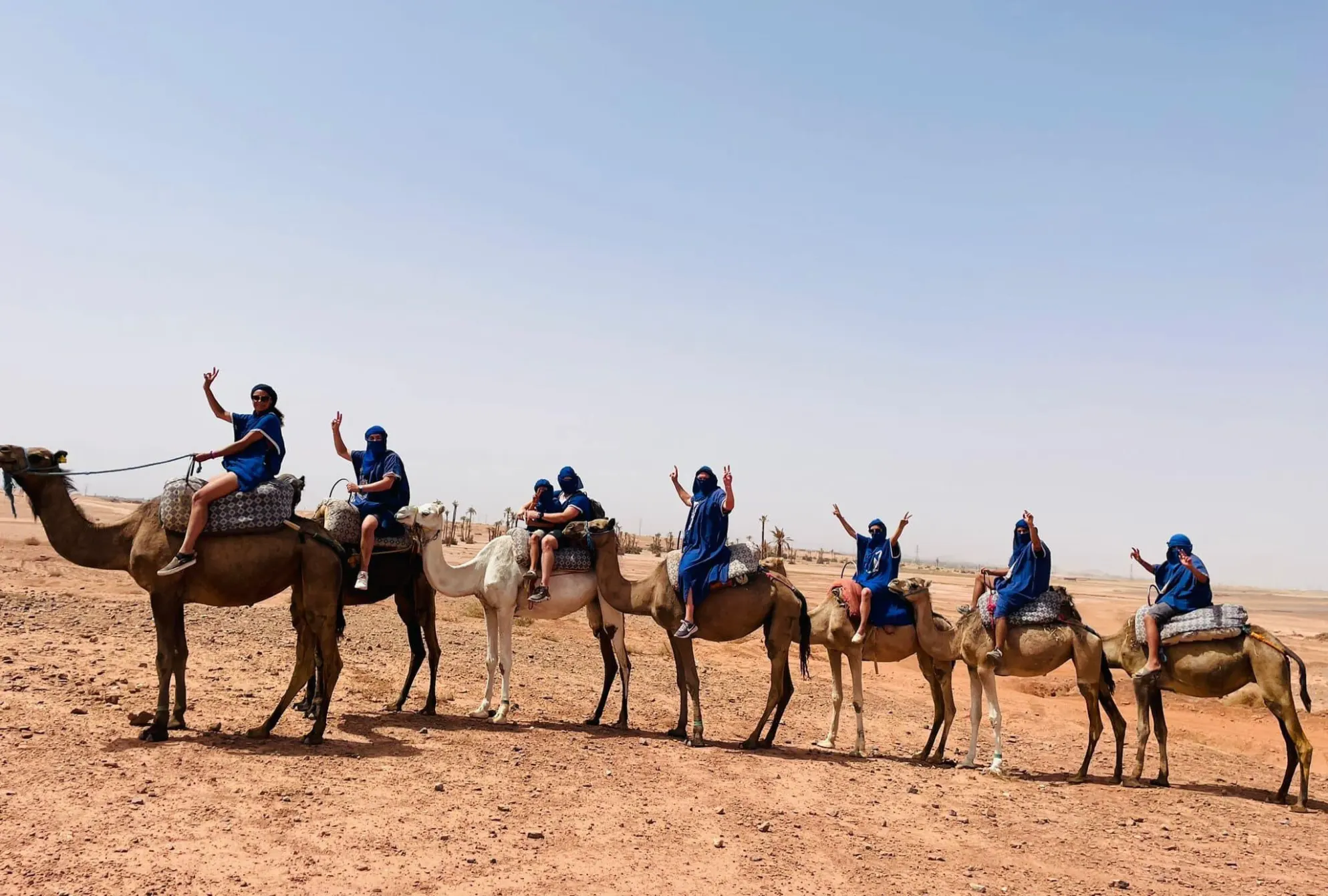 Camel Ride Agafay Desert with Hotel Pickup