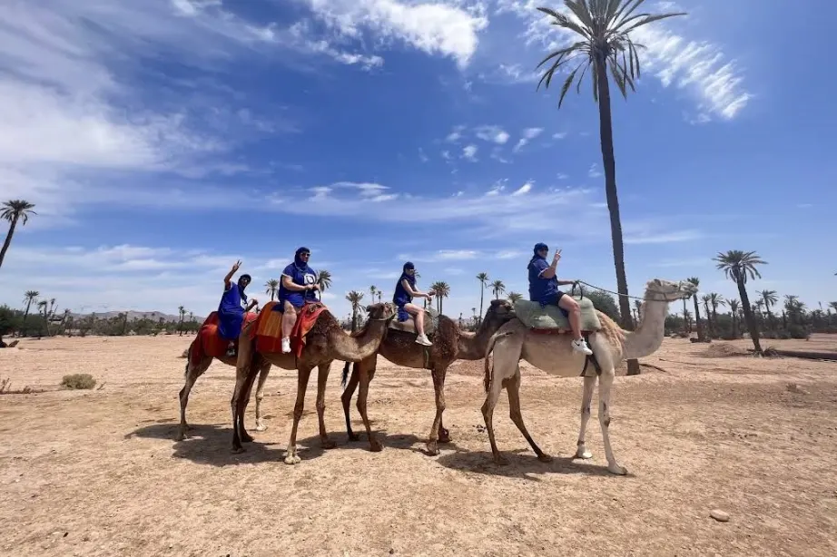 Private Camel Ride Palmeraie Marrakech